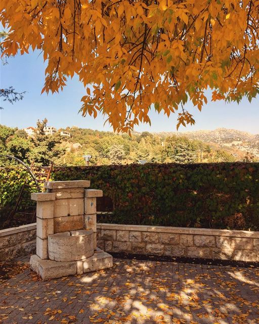 Good evening 🍂........ leaves  fall  season  nature  tree ... (Ehmej, Mont-Liban, Lebanon)