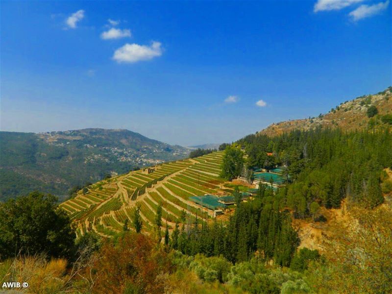  good  evening  nature  streetphotography  outdoors  noperson  travel ... (Bâter, Mont-Liban, Lebanon)