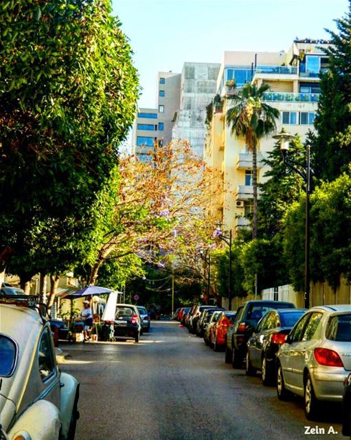  good  evening  sioufi  area  ashrafieh  cars  trees  street ... (Parc Sioufi)