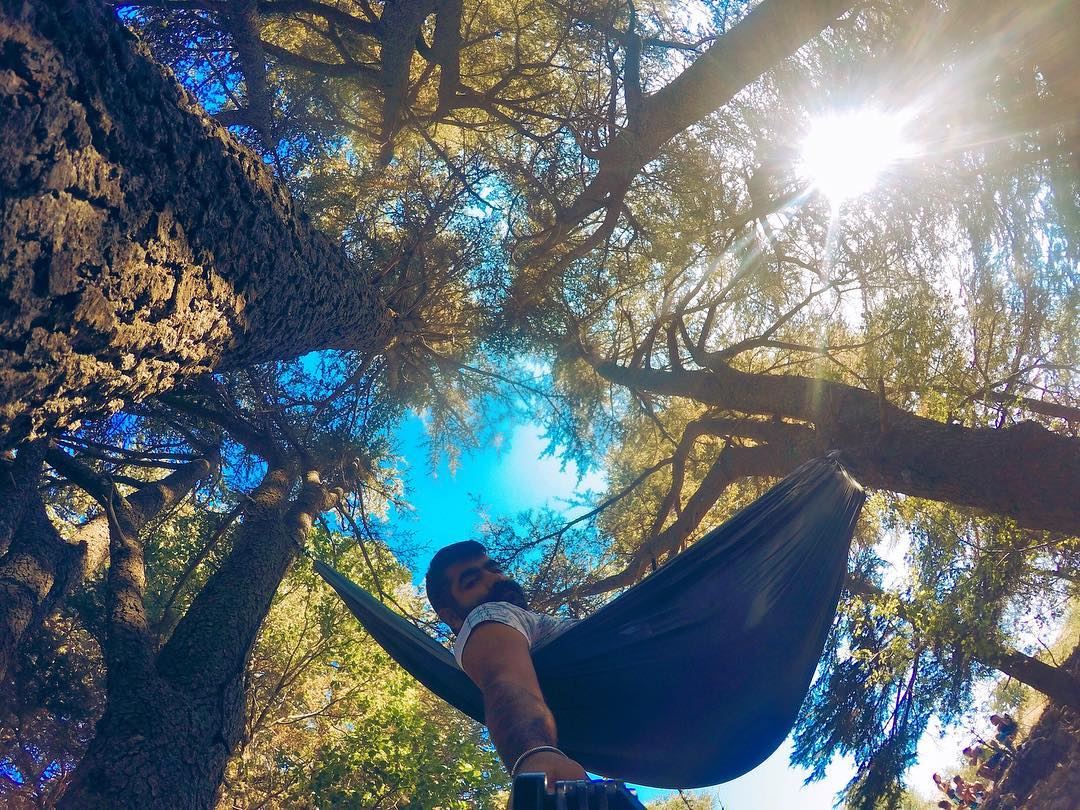 Good Ham-Morning 🌞 morning  sun  sky  blue  trees  tree  cedars  hammock... (Arz Tannoûrîne)