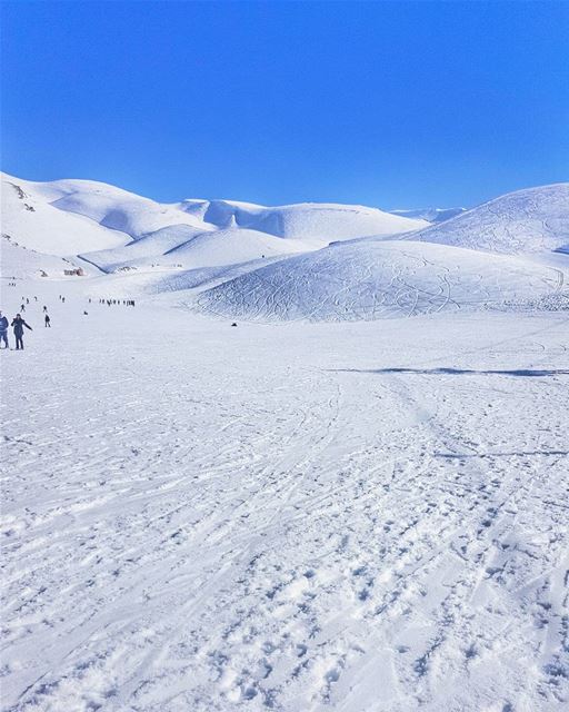 GOOD MORNING ❄❄___________________________________________... (Wardeh Kfardebian)