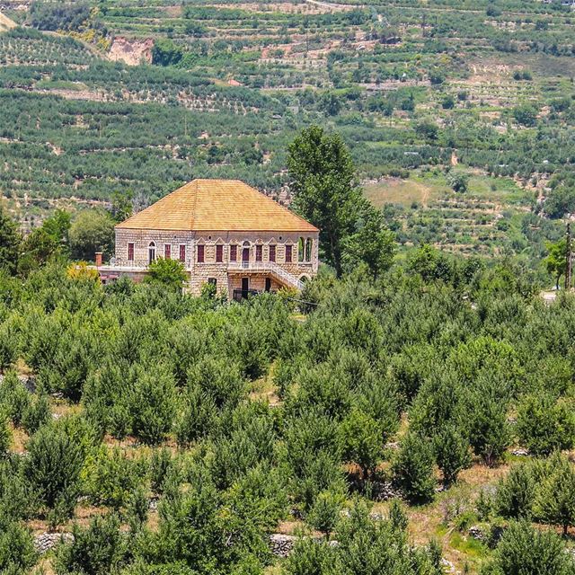 Good morning 🏡 (Akoura, Mont-Liban, Lebanon)