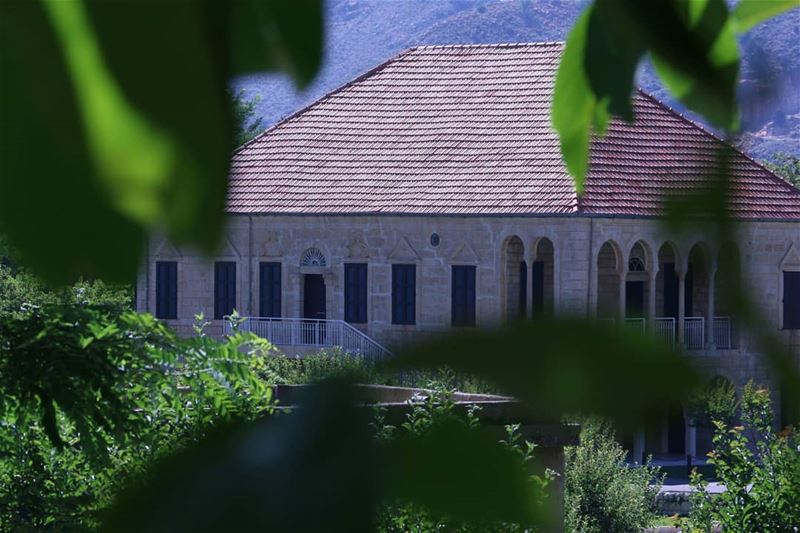 Good morning all... After three-day long vacation it is time to work... (El Mejdel, Mont-Liban, Lebanon)