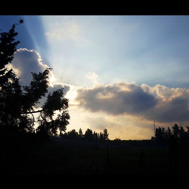 Good morning all.. have a blessed friday  morning  sunrise  sunshine ...