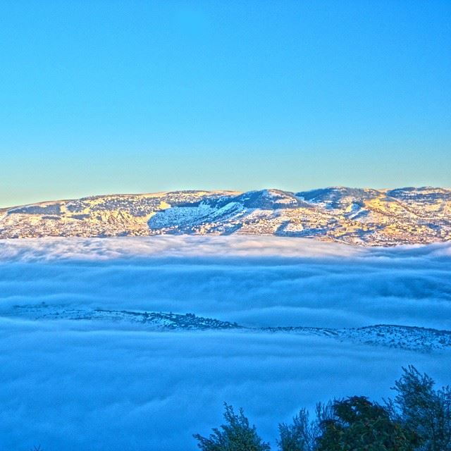 Good morning all with this lovely picture from BekaaA sea of clouds......