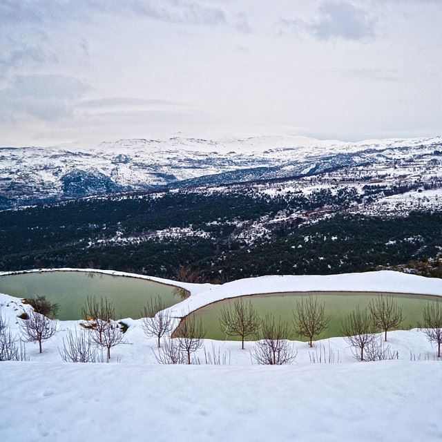 Good morning all with this lovely picture from tarchich .Water lakes and...