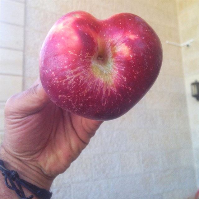 Good morning!  apple  heart  goodmorning  lebanon  igers  photooftheday ...
