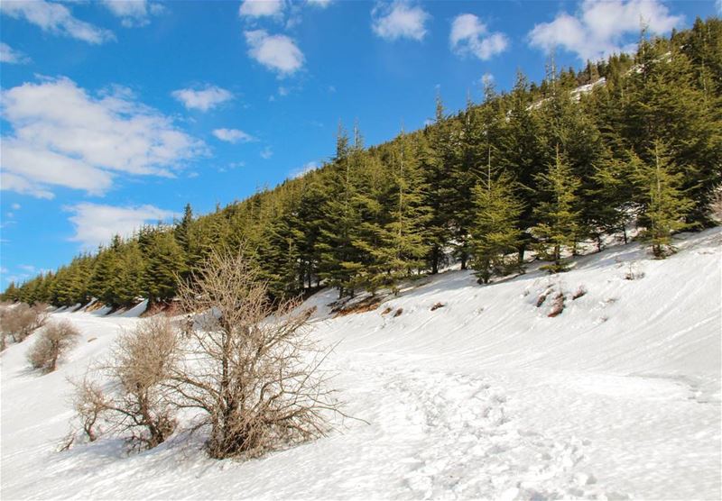 Good morning! (Arz el Bâroûk)