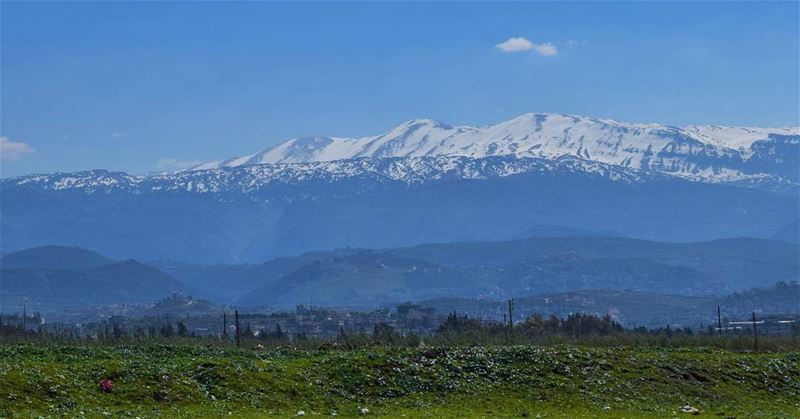 Good morning beautiful people 💙 LiveLoveAkkar  LiveLoveTrees ... (`Akkar, Liban-Nord, Lebanon)