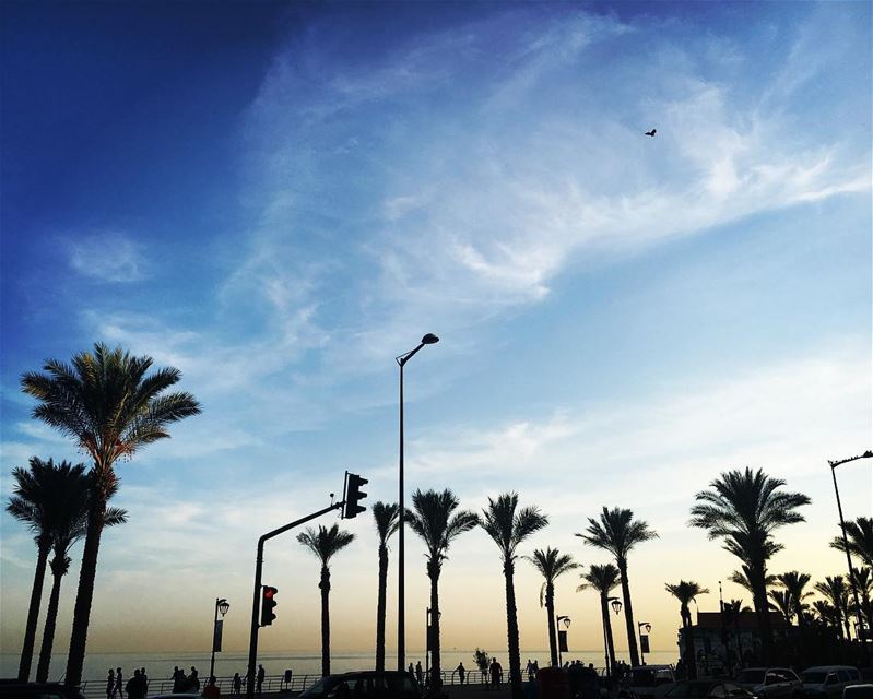 Good Morning  Beirut  einmrayse  Lebanon (عين المريسة)