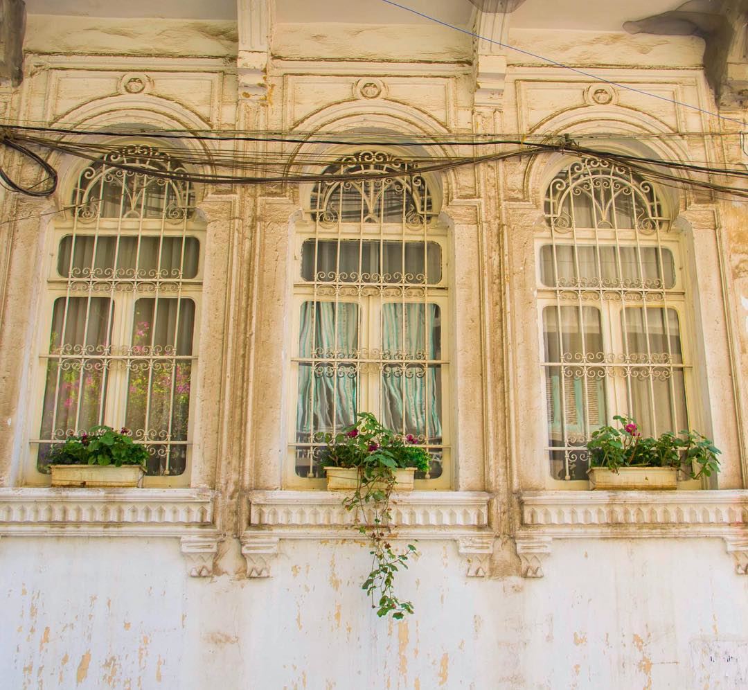 Good morning 🌺  beirut  lebanon  old  house  window  spring  flowers  pot...