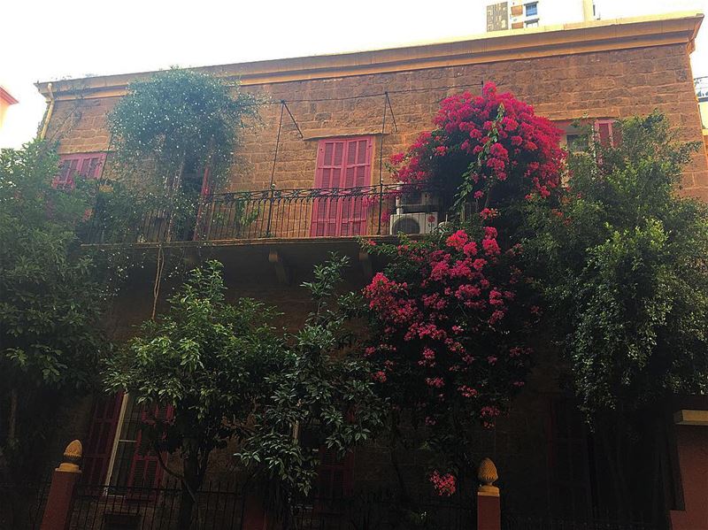 Good Morning Beirut ☀️-- summer beirut lebanon thursday  instagram... (Beirut, Lebanon)