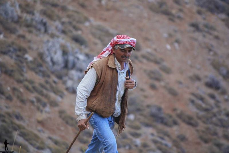 Good morning 🤗 beqaavalley  lebanon  mountains  sagbine  grazer ...