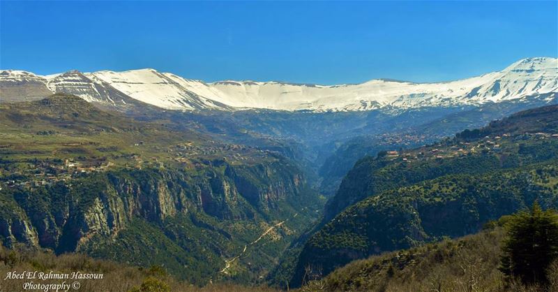 Good morning Bsharri  LiveLoveLebanon   LiveLoveBsharre  LiveLoveTrees ... (Bsharre, Kadisha Valley)