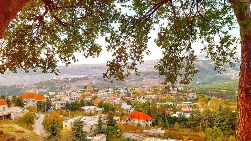 Good morning 😊 by bassel kaboul (Ain Zhalta عين زحلتا)