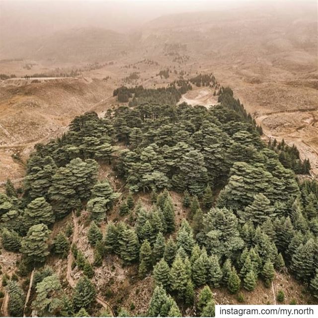 Good morning by @twowheelsacross------------------------------------------ (Bcharré, Liban-Nord, Lebanon)