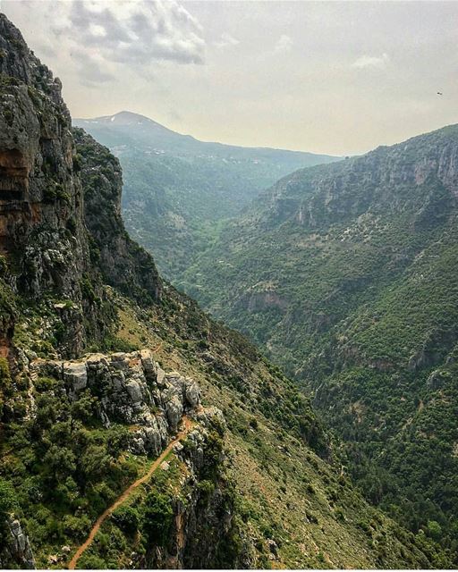 Good morning! 👋@chady.el.khoury------------------------------------------ (Ouâdi Qannoûbîne, Liban-Nord, Lebanon)