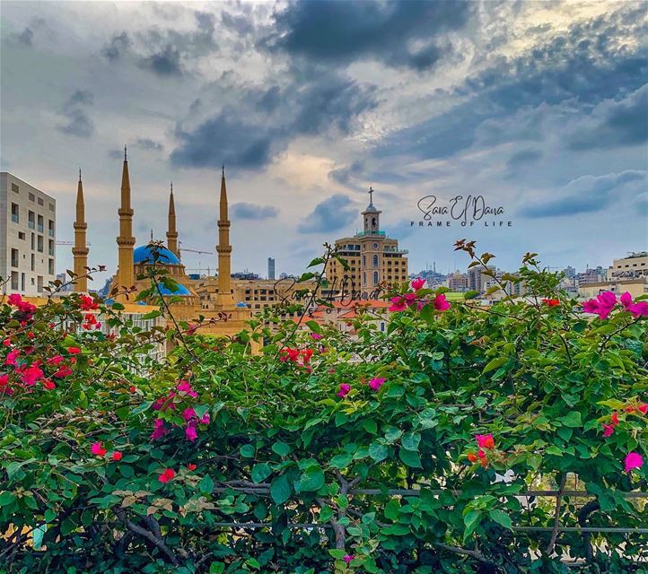 Good morning charming Beirut! ❤️ (Le Gray, Beirut)