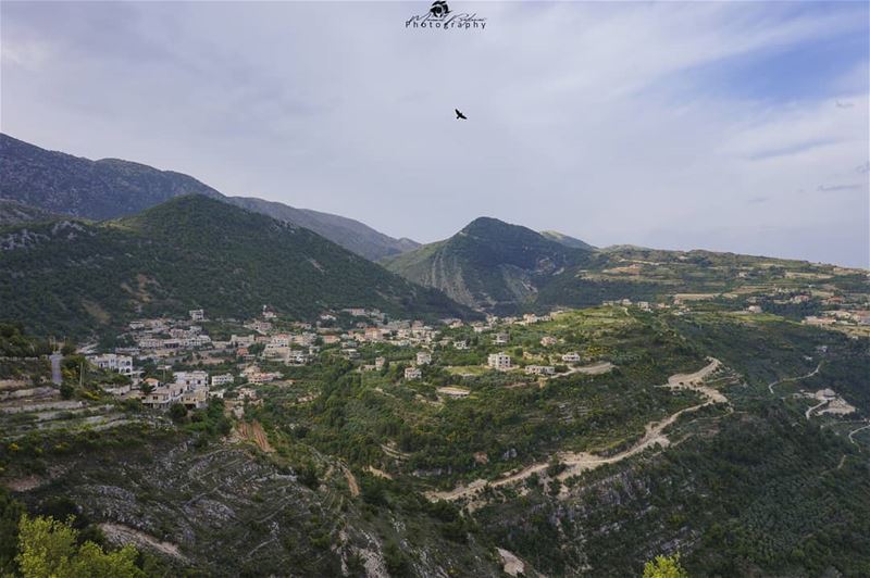 Good morning • • • chouf  shoufreserve  lebanon  beirut  livelovelebanon ...