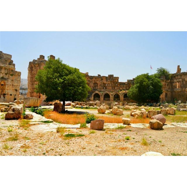 Good morning dear followers with this amazing viewPhoto taken by group... (Baalbek, Lebanon)