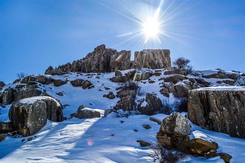 .Good morning dear friends ❄🌞 ! The snowy sunshine!! What an amazing day... (El Laqloûq, Mont-Liban, Lebanon)