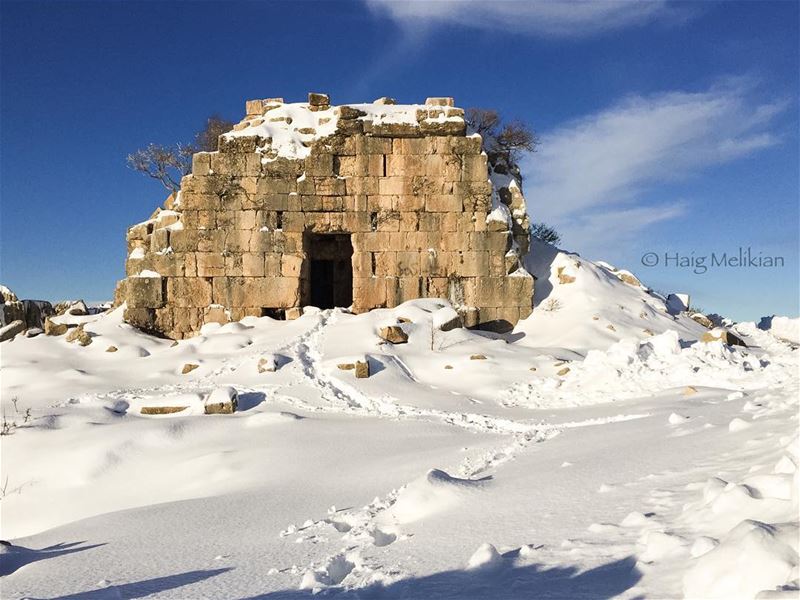 Good Morning dears 🐪 Lebanon  whatsuplebanon  instagram  lebanon_hdr ...