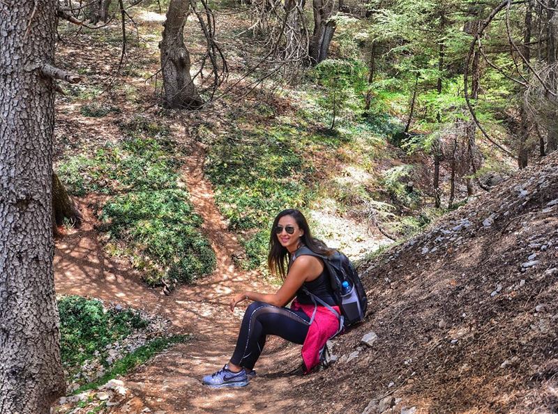 Good morning everyone! 🍁🌲🍁 (Al Shouf Cedar Nature Reserve)