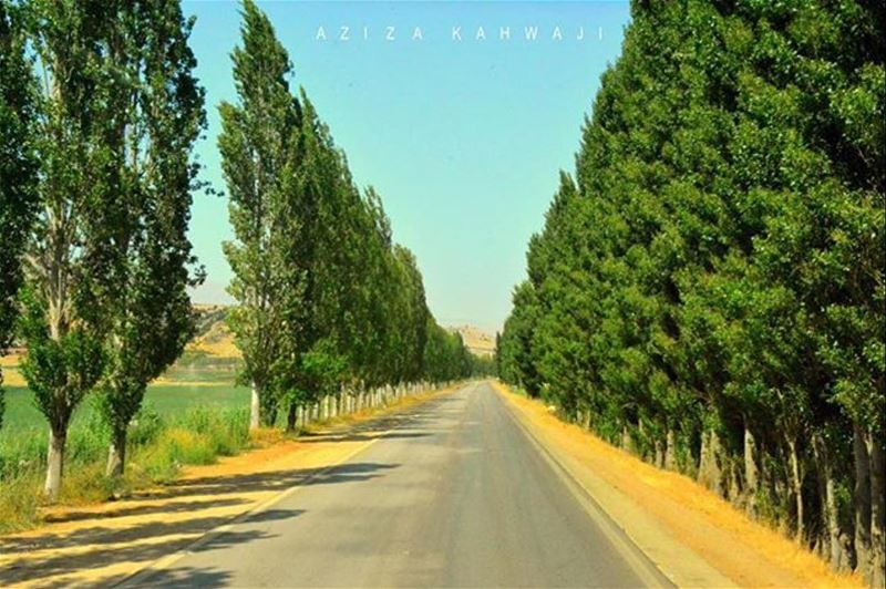 Good Morning everyone 💚From West-Bekaa by @azizakahwaji 😍💚😍💚😍💚 ...