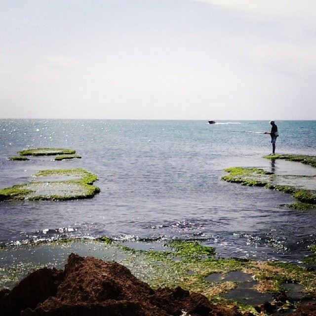 Good morning from Abed El Wahhab island.... Tripoli! island  nature ...
