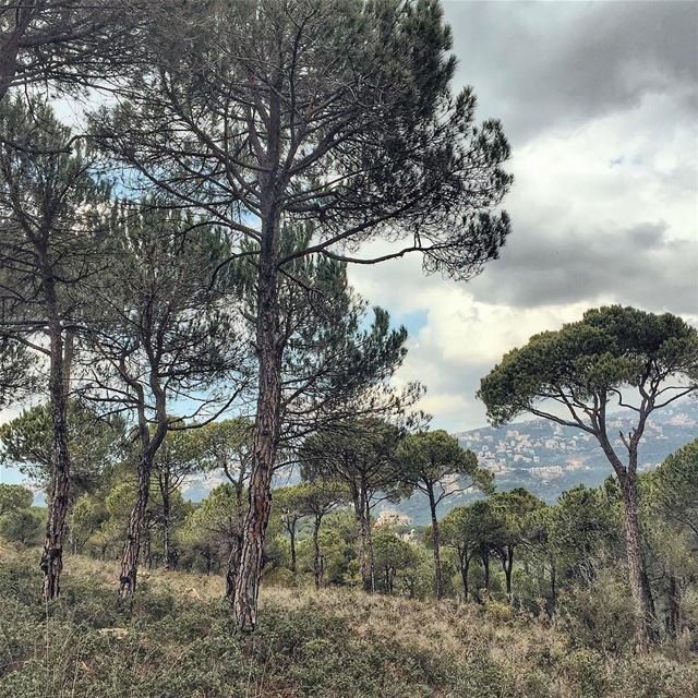 Good Morning from Baabda صباح الخير من بعبدا 😃Photo taken by @mostlyfad... (Baabda)
