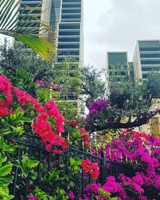 Good morning from Downtown Beirut have a colorful day 💜❤💙💚💛💟...