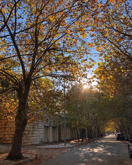 Good morning from dreamy Sawfar🍂🍁 livelovebeirut  automn  instamood ... (Sawfar, Mont-Liban, Lebanon)