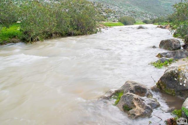 Good morning from Houmine Al Fawka nature  river  water  longexposure ...