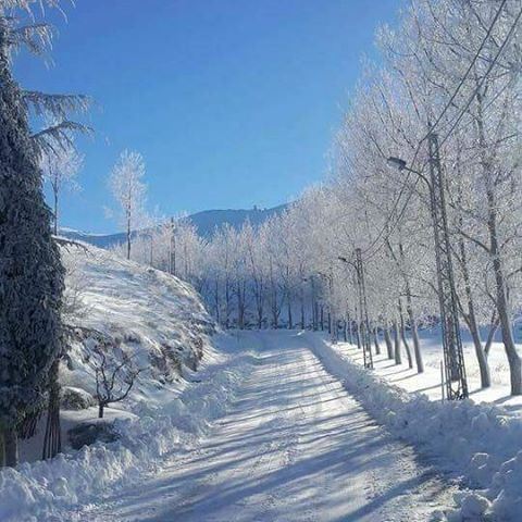Good morning from  laklouk ❄