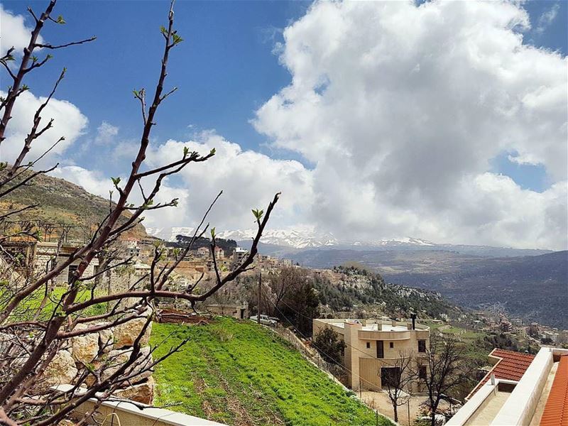 Good Morning from Mayrouba صباح الخير من ميروبا 😃Photo taken by @wadihgn (Mayrouba)
