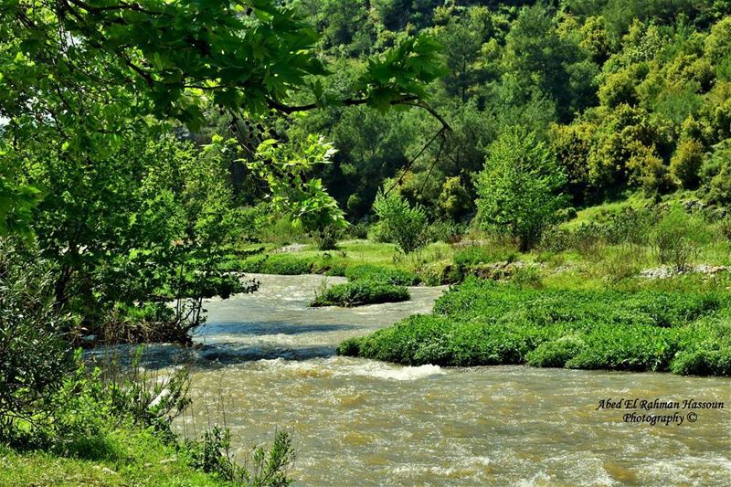 Good morning from Ouyoun El Samak 💚 LiveLoveMinieh  LiveLoveWaterfalls ... (Ouyoun El Samak Waterfalls)