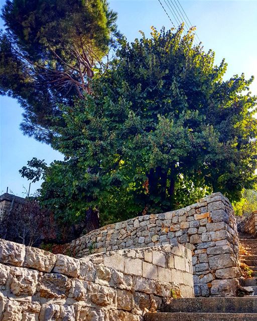 Good morning from the land of the green 💚💚💚💚... Lebanon  nature ...