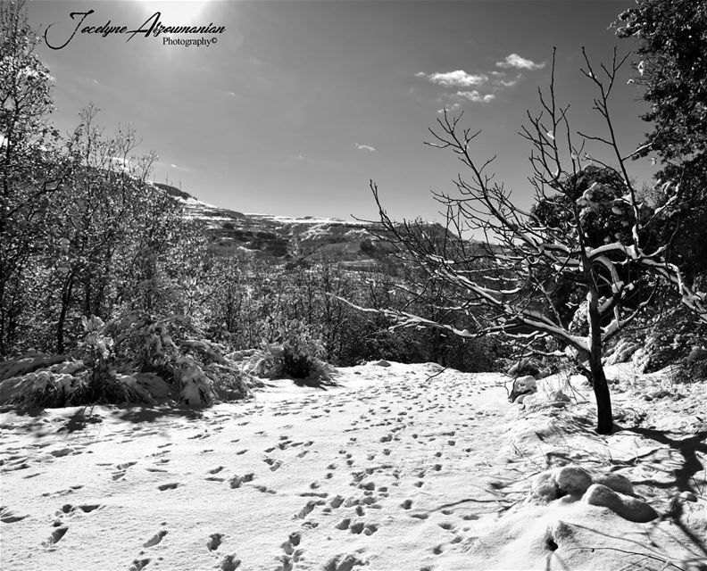 Good morning💓  goodmorning beautifulmorning goodday positivevibes l... (Kfardebian Lebanon)