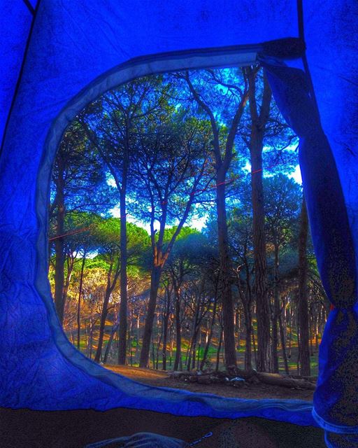 Good morning! Have a great week :)  lebanon  broumana  camp  camping  tent... (Broummâna, Mont-Liban, Lebanon)