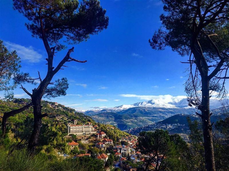 🌳🇱🇧🌳 Good Morning 🌳🇱🇧🌳 Hiking nature naturephotography... (Dhour choueir)