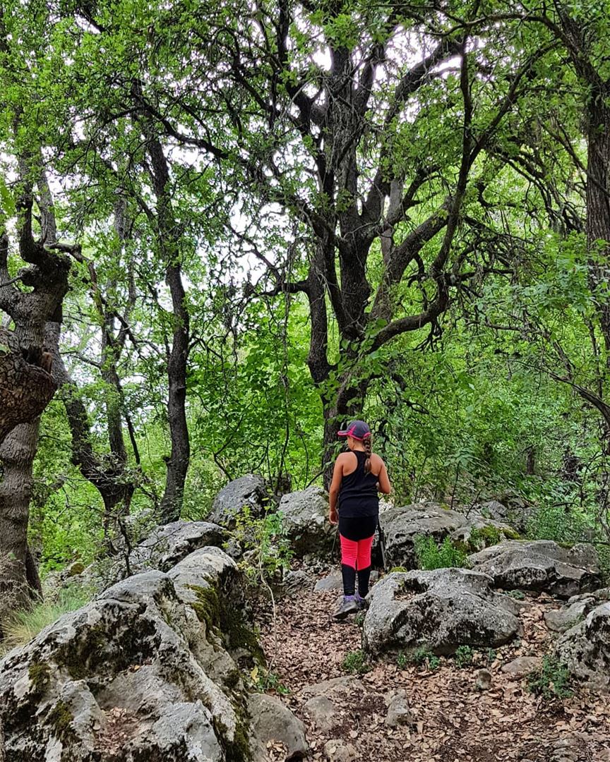 Good morning 🌞🍃🌳  hiking  whatsuplebanon  eyesoflebanon  meetlebanon ... (Horsh Ehden)
