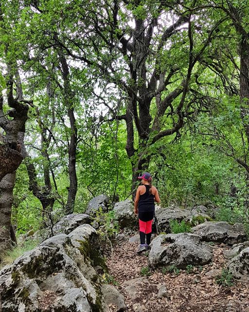 Good morning 🌞🍃🌳  hiking  whatsuplebanon  eyesoflebanon  meetlebanon ... (Horsh Ehden)