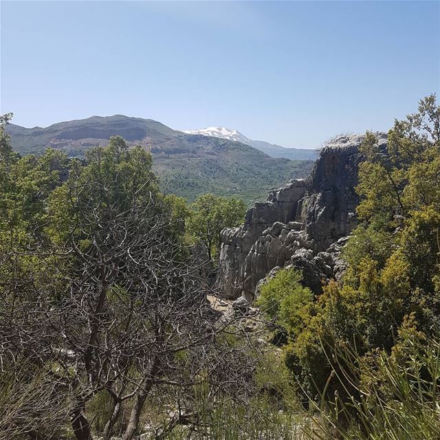 Good morning 🍀☘...@jabalmoussa  jabalmoussa  hiking  hikingday ...
