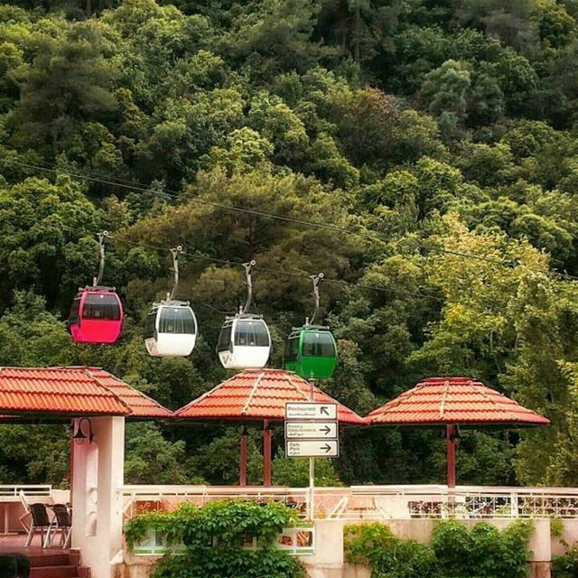 Good morning🚡🌳  jeitagrotto  cabincable  lebanon  lebanontimes ... (Jeita Grotto)