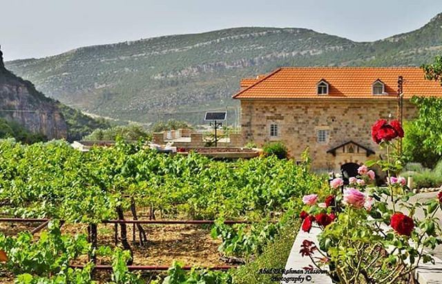 Good morning 💚 | Join me on Facebook for more pictures ╰▶ Abed El Rahman... (Batroun District)