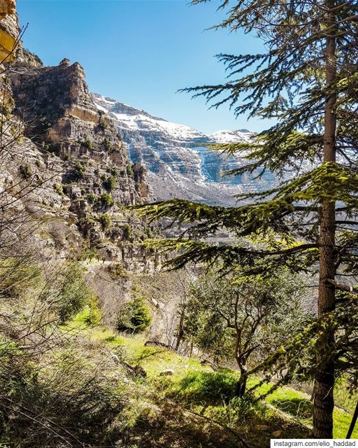 Good Morning 🌞  Lebanon  Akoura 🇱🇧  LiveLoveBeirut  LiveLoveLebanon ... (Akoura, Mont-Liban, Lebanon)