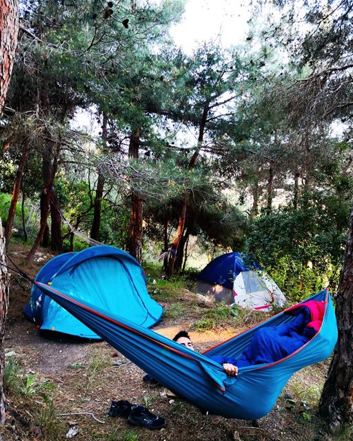 Good morning  lebanon  camping  morninglikethis  forestcamp  hammocklife ...