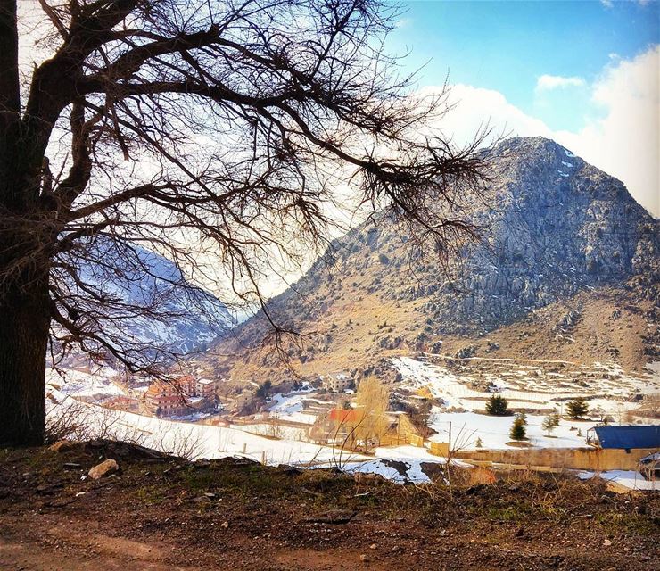 Good Morning 📷 lebanon  nature  naturelovers  natureporn  landscape ... (El Laqloûq, Mont-Liban, Lebanon)
