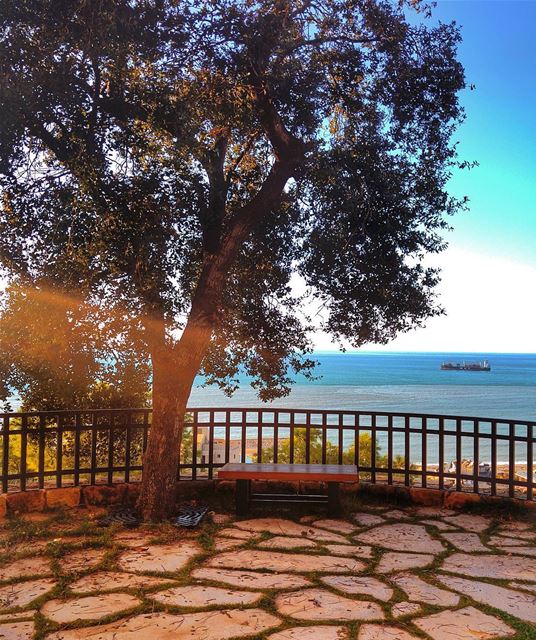 Good Morning 😊 lebanon  nature  naturelovers  natureporn  landscape ... (Zouk Mosbeh)