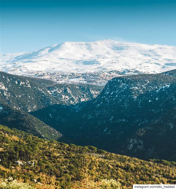 Good Morning  Lebanon 🇱🇧  Winter  Snow  Snowing  Mountains  Mountain ... (Aïn Zhalta, Mont-Liban, Lebanon)